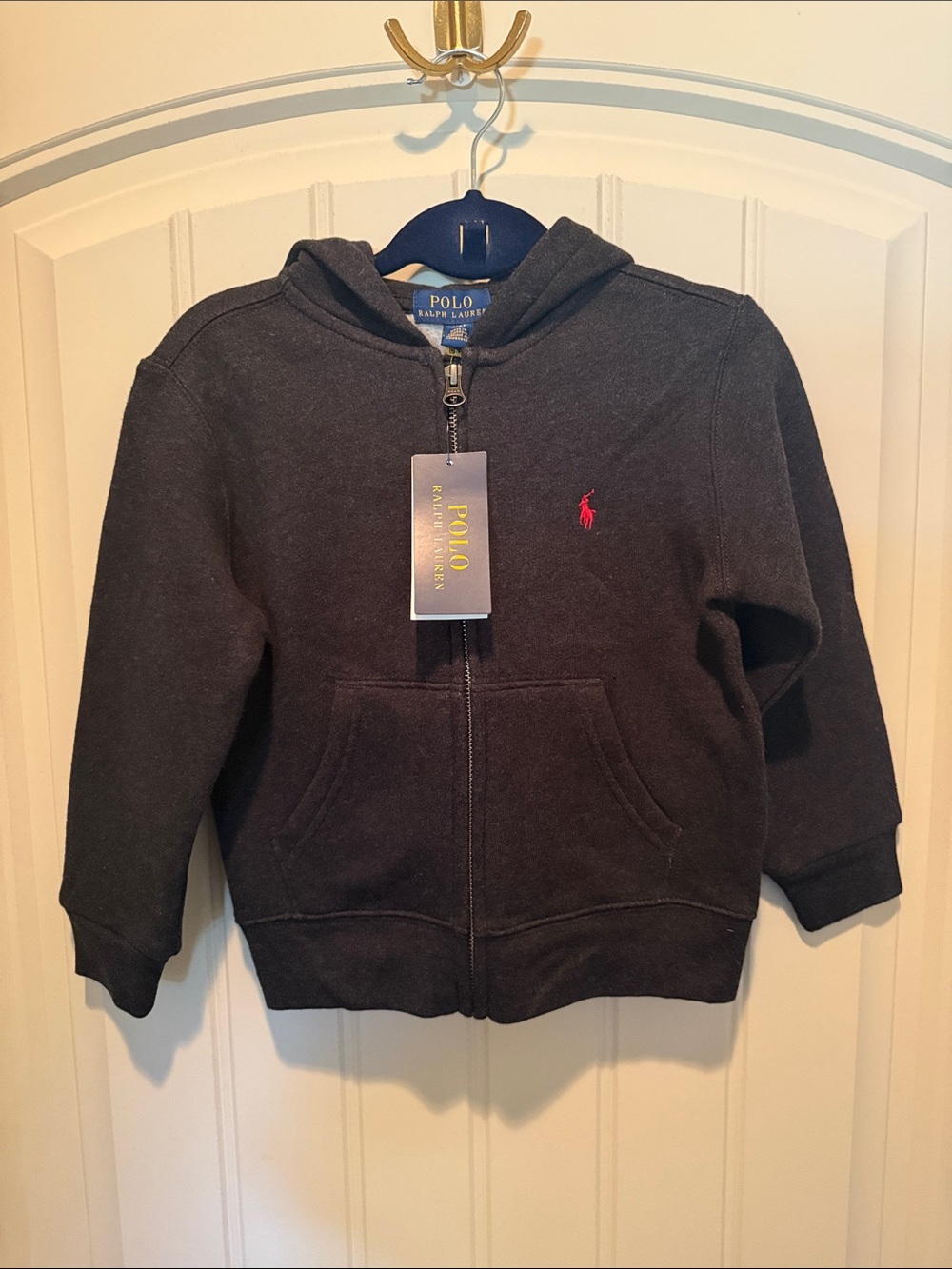Polo by Ralph Lauren Kids Hooded Zip Sweatshirt with Red Pony